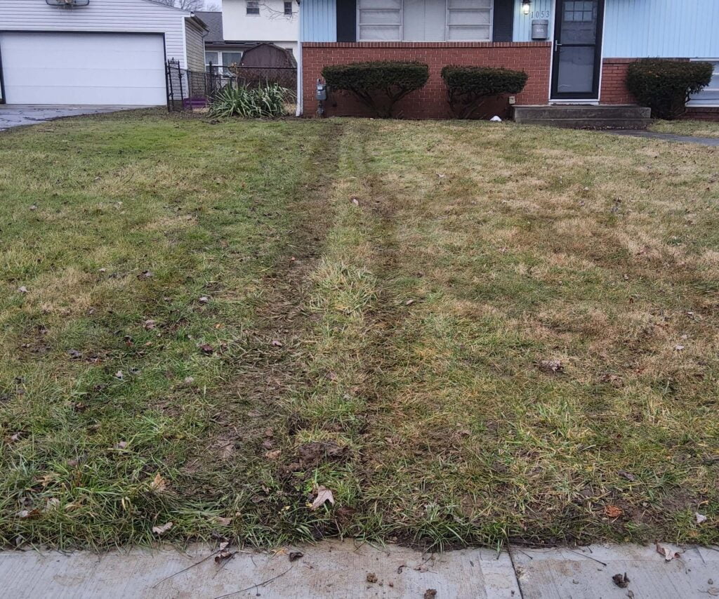 yard with grass back on where drainage was installed.