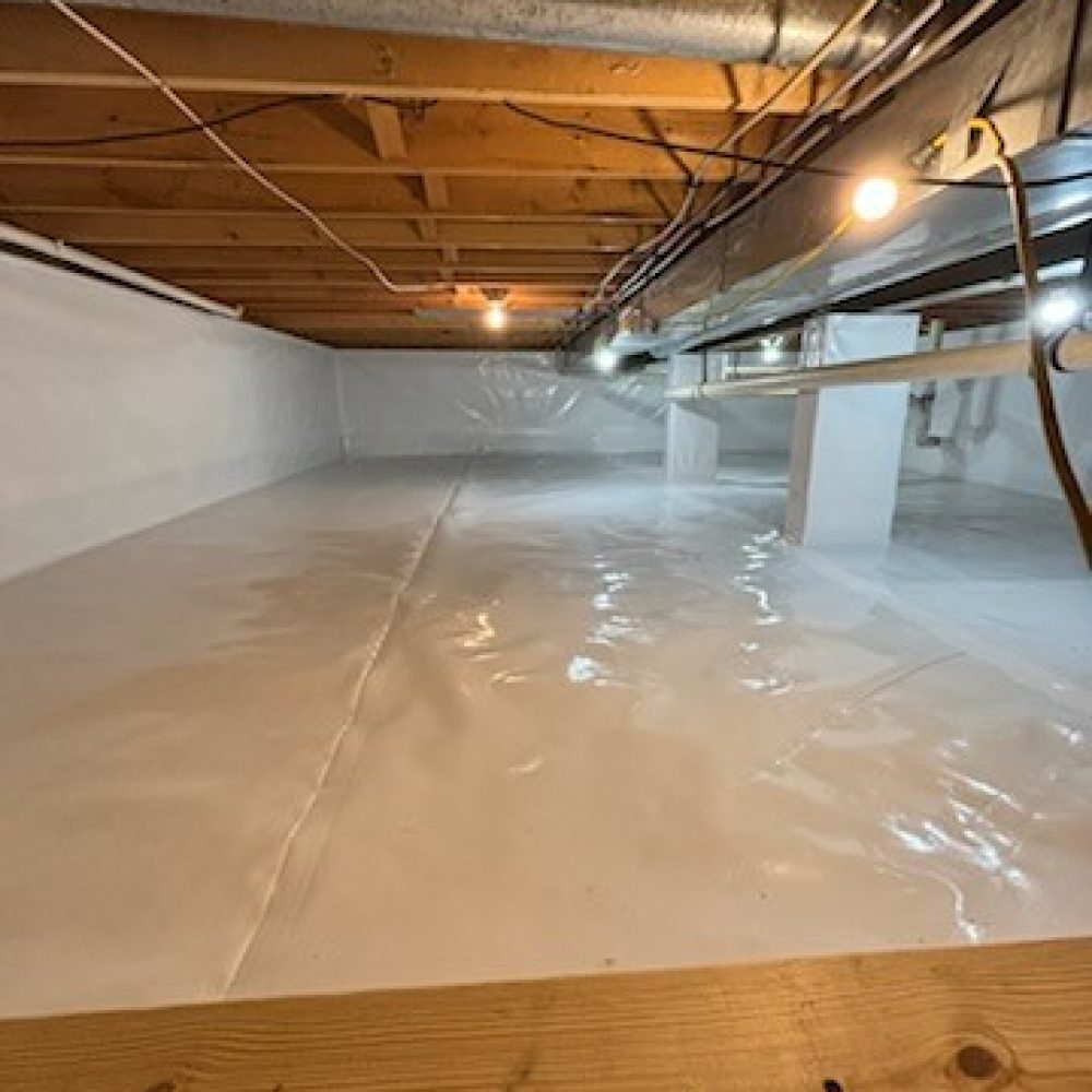 Revitalize Your Crawl Space in Five Essential Steps with US Basement Repair