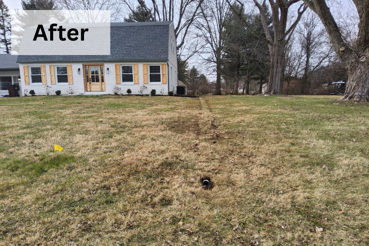 yard after drainage solution