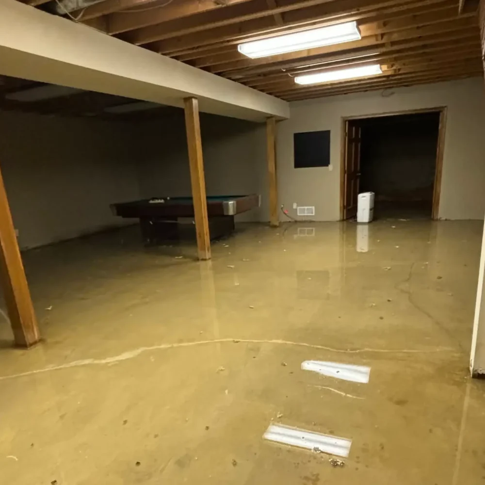 Why Is My Basement Leaking? Causes and How to Fix It