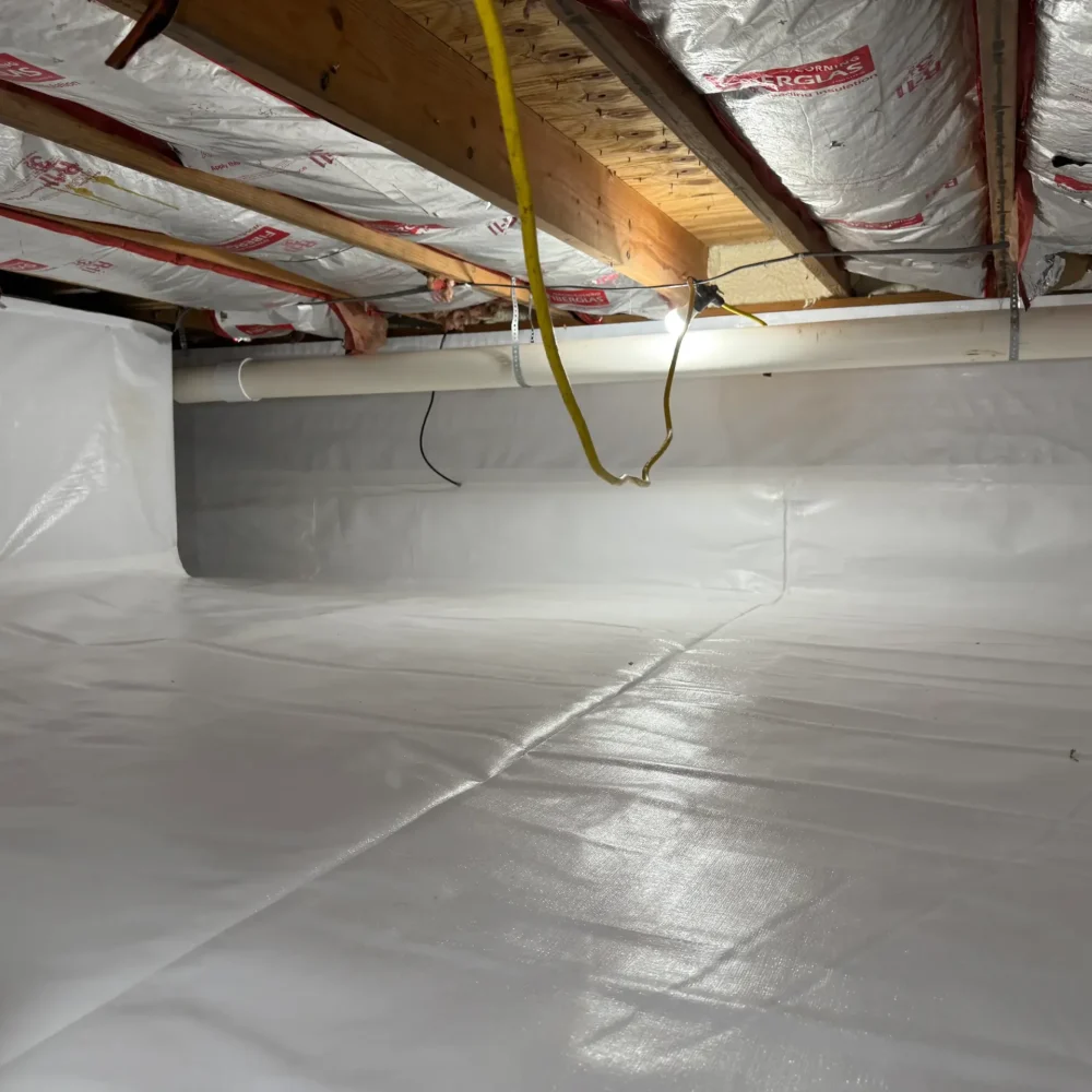 Crawl Space Encapsulation Cost: What to Expect